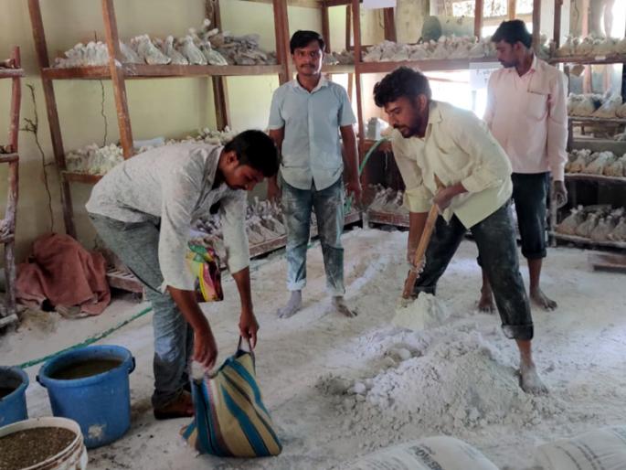 Parbhani: Biomics modified by the University for sale in crores of houses | परभणी : विद्यापीठाने संशोधित केलेल्या बायोमिक्सची विक्री कोटींच्या घरात Parbhani: Biomics modified by the University for sale in crores of houses | परभणी : विद्यापीठाने संशोधित केलेल्या बायोमिक्सची विक्री कोटींच्या घरात