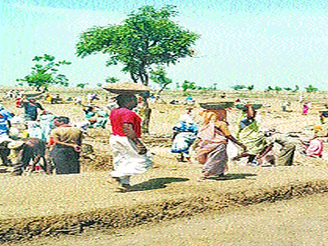 Work in the hands of thirty thousand laborers in the district | जिल्ह्यात तीस हजार मजुरांच्या हाताला काम Work in the hands of thirty thousand laborers in the district | जिल्ह्यात तीस हजार मजुरांच्या हाताला काम