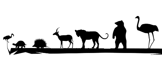 Predatory, wild animals wild animals! | भाकडकथा, हौसेखातर वन्यप्राण्यांचा बळी ! Predatory, wild animals wild animals! | भाकडकथा, हौसेखातर वन्यप्राण्यांचा बळी !