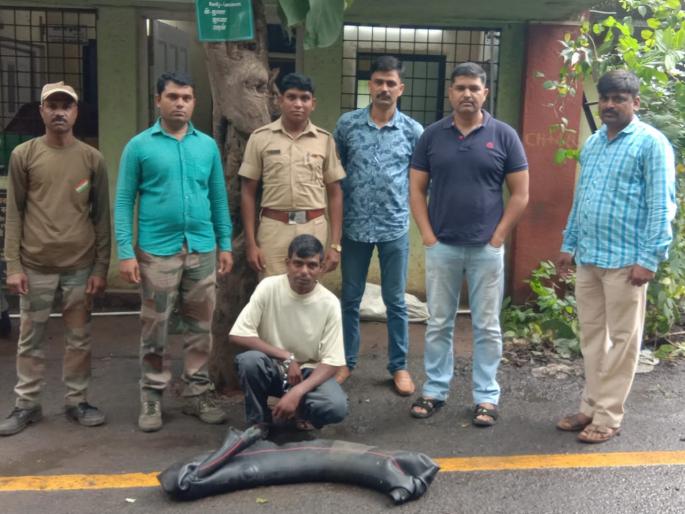 Forestry officers hold dye, dye hands | ठाणे येऊरच्या जंगलातील दारू भट्टीवर वनाधिकाऱ्यांची धाड, रंगे हात पकडे Forestry officers hold dye, dye hands | ठाणे येऊरच्या जंगलातील दारू भट्टीवर वनाधिकाऱ्यांची धाड, रंगे हात पकडे