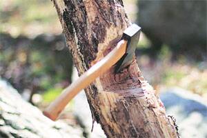 Now a fine of ten thousand for cutting down a tree | आता झाड तोडल्यास दहा हजारांचा दंड Now a fine of ten thousand for cutting down a tree | आता झाड तोडल्यास दहा हजारांचा दंड