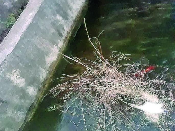 Disposal of water from Kalambeshwar Dam | कळंबेश्वर धरणातून पाण्याचा अपव्यय Disposal of water from Kalambeshwar Dam | कळंबेश्वर धरणातून पाण्याचा अपव्यय