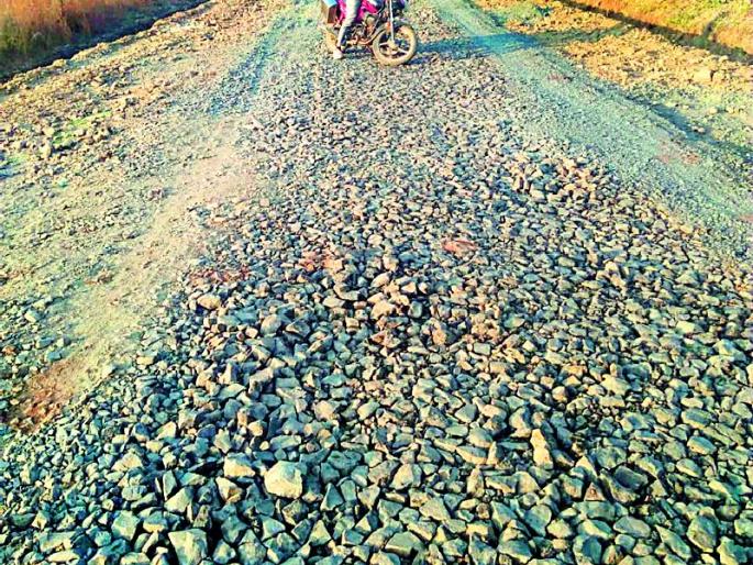 Due to Jamsa road from Enzapur | इंझापूर ते जामठा रस्त्याची दैनावस्था Due to Jamsa road from Enzapur | इंझापूर ते जामठा रस्त्याची दैनावस्था