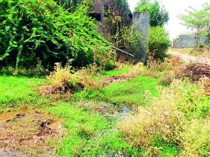 Lack of civic amenities in Pusad | पुसदमध्ये नागरी सुविधांचा अभाव Lack of civic amenities in Pusad | पुसदमध्ये नागरी सुविधांचा अभाव