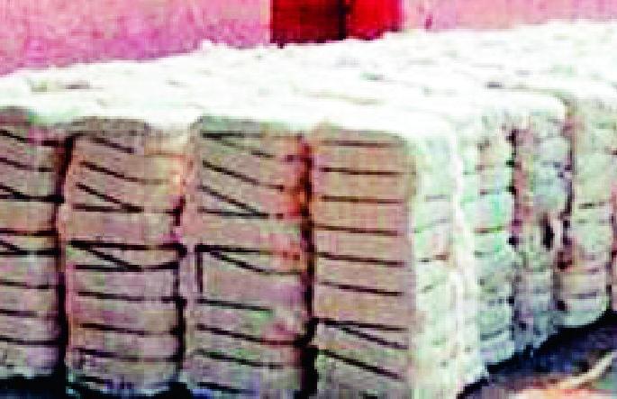 CCI's deed: Cotton crop shown in empty field | सीसीआयचा कारनामा : पडिक शेतीत दाखविले कापसाचे पीक CCI's deed: Cotton crop shown in empty field | सीसीआयचा कारनामा : पडिक शेतीत दाखविले कापसाचे पीक