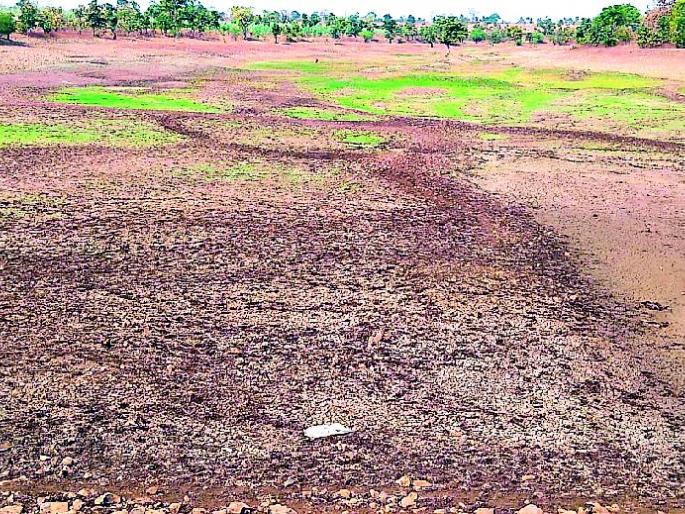 Pusher pond dry up in Ghu | घुई येथील पाझर तलाव कोरडा