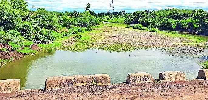 Only 5 percent of the rainfall in Darwat | दारव्हात केवळ ३८ टक्केच पाऊस Only 5 percent of the rainfall in Darwat | दारव्हात केवळ ३८ टक्केच पाऊस
