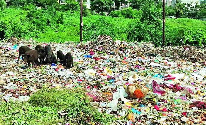 Yashmalkar's health hazard by the trash | कचऱ्याने यवतमाळकरांचे आरोग्य धोक्यात Yashmalkar's health hazard by the trash | कचऱ्याने यवतमाळकरांचे आरोग्य धोक्यात