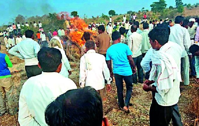 Weed grass in search of two grasses | दोन घासाच्या शोधात मृत्यूनेच घेतला घास