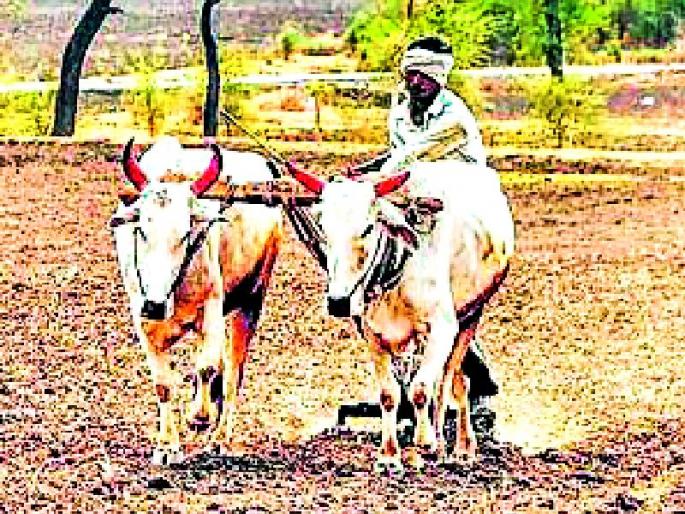 Additional interest penalties for farmers | शेतकऱ्यांना अतिरिक्त व्याजाच्या डागण्या