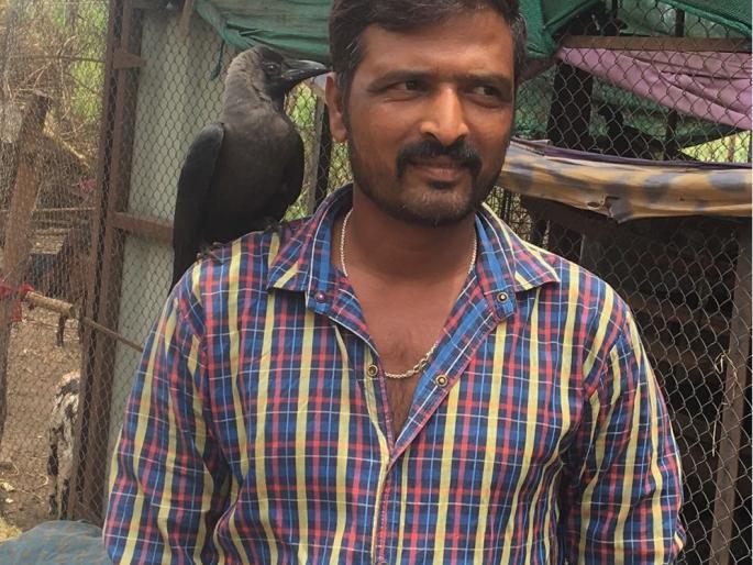 The story is taken from Kavalya, Portland by Thane's Avalya | कहाणी माणसाळलेल्या कावळ्याची, पोर्ले तर्फ ठाणेचा अवलिया The story is taken from Kavalya, Portland by Thane's Avalya | कहाणी माणसाळलेल्या कावळ्याची, पोर्ले तर्फ ठाणेचा अवलिया