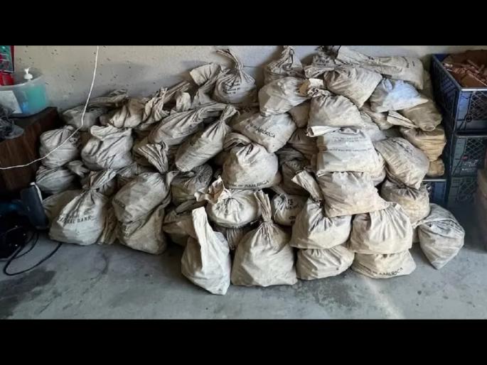 Man finds one million pennies cleaning out home los angles America | घराची सफाई करताना सापडला मौल्यवान 'खजिना', विकून मालामाल होणार परिवार! Man finds one million pennies cleaning out home los angles America | घराची सफाई करताना सापडला मौल्यवान 'खजिना', विकून मालामाल होणार परिवार!