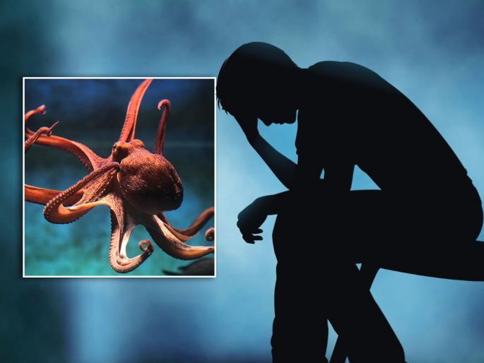 Man struggling to eating food after swallow an octopus | जेवण करताना घशात होत होत्या वेदना, डॉक्टरांनी एक्स-रे काढला तर बसला धक्का... Man struggling to eating food after swallow an octopus | जेवण करताना घशात होत होत्या वेदना, डॉक्टरांनी एक्स-रे काढला तर बसला धक्का...