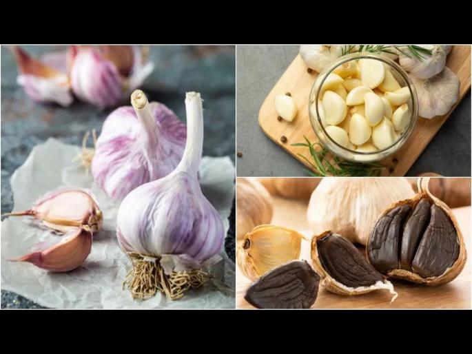 Do you know about 4 types of garlic which is the best for cooking | 4 प्रकारचा असतो लसूण, जाणून घ्या पदार्थांमध्ये वापरण्यासाठी कोणता असतो बेस्ट! Do you know about 4 types of garlic which is the best for cooking | 4 प्रकारचा असतो लसूण, जाणून घ्या पदार्थांमध्ये वापरण्यासाठी कोणता असतो बेस्ट!