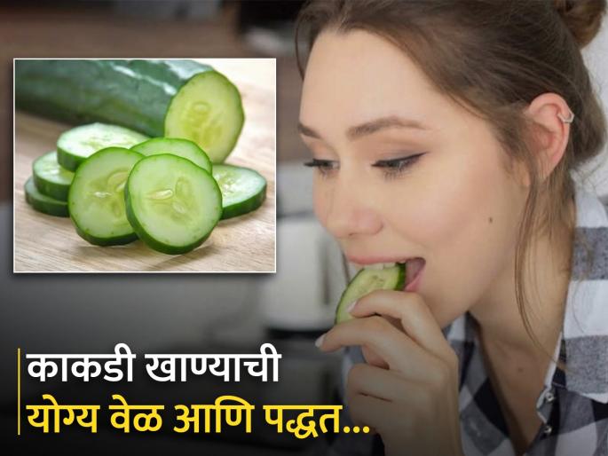 Right time and method to eat Cucumber, you should know these things | रात्री की दिवसा? काकडी खाण्याची योग्य वेळ कोणती? जाणून घ्या योग्य पद्धत... Right time and method to eat Cucumber, you should know these things | रात्री की दिवसा? काकडी खाण्याची योग्य वेळ कोणती? जाणून घ्या योग्य पद्धत...