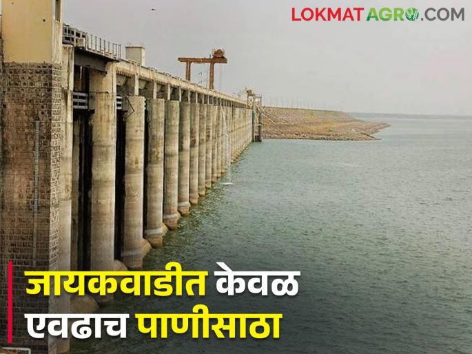 The shortage is severe! Only this much water is left in Jayakwadi Dam | टंचाई झळा तीव्र! जायकवाडी धरणात आता उरलंय केवळ एवढं पाणी The shortage is severe! Only this much water is left in Jayakwadi Dam | टंचाई झळा तीव्र! जायकवाडी धरणात आता उरलंय केवळ एवढं पाणी