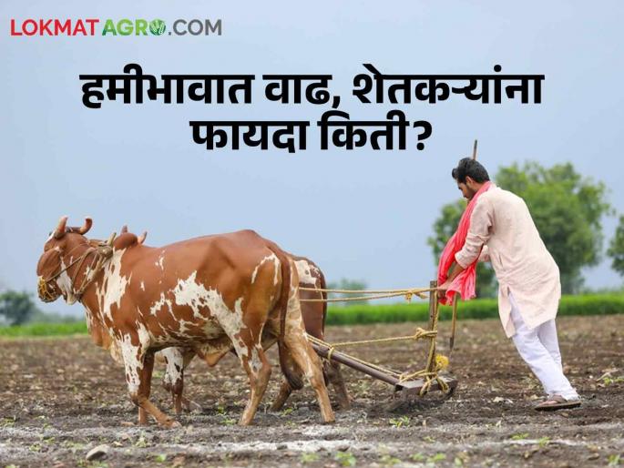 Crop MSP minimum selling price Marginal increase in guaranteed price and fertilizer prices increase farmer loss | Crop MSP : हमीभावात किरकोळ वाढ अन् खतांचे दर गगनाला! सरकार नेमके कुणाचे भले करतेय? Crop MSP minimum selling price Marginal increase in guaranteed price and fertilizer prices increase farmer loss | Crop MSP : हमीभावात किरकोळ वाढ अन् खतांचे दर गगनाला! सरकार नेमके कुणाचे भले करतेय?