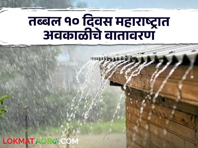 Weather Updates next ten days hailstorme and hravy rain inn maharashtra weather updates | Weather Updates : 'पुढचे दहा दिवस महाराष्ट्रात अवकाळी पावसाचे वातावरण'