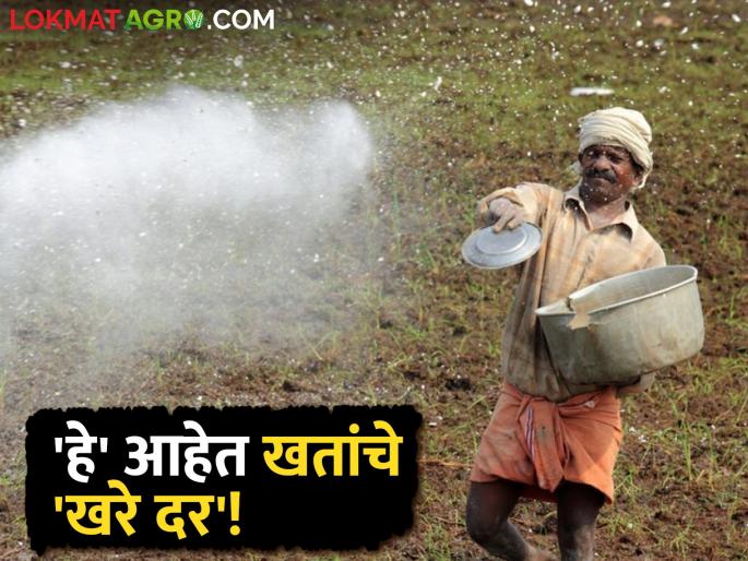 How much increased the prices of chemical fertilizers? What are the real rates? Know in detail | किती वाढल्या रासायनिक खतांच्या किंमती? किती आहेत खरे दर? जाणून घ्या सविस्तर