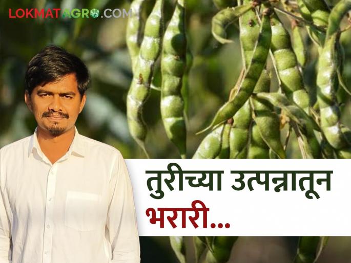chhatrapati sambhajinagar young farmer success story fron tur cotton crop | कपाशीला फाटा देत तुरीची लागवड करून लाखोंची कमाई करणाऱ्या तरूणाची यशोगाथा