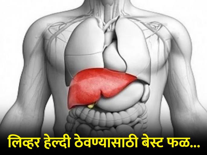 Amla is beneficial for fatty liver and digestive system learn how to consume | लिव्हर निरोगी ठेवण्यासाठी सगळ्यात बेस्ट आहे 'हे' फळ, दूर होतील अनेक गंभीर समस्या Amla is beneficial for fatty liver and digestive system learn how to consume | लिव्हर निरोगी ठेवण्यासाठी सगळ्यात बेस्ट आहे 'हे' फळ, दूर होतील अनेक गंभीर समस्या