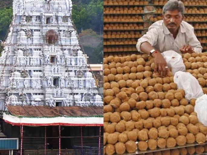 Solapurkar fell in love with Tirupati Laddu; Every day four thousand Solapurkars visit Balaji | सोलापूरकर पडले तिरुपती लाडूच्या प्रेमात; दररोज चार हजार सोलापूरकर घेतात बालाजीचे दर्शन Solapurkar fell in love with Tirupati Laddu; Every day four thousand Solapurkars visit Balaji | सोलापूरकर पडले तिरुपती लाडूच्या प्रेमात; दररोज चार हजार सोलापूरकर घेतात बालाजीचे दर्शन