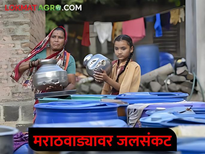 50 percent of the cities in Marathwada are facing water crisis | मराठवाड्यातील ५० टक्के शहरांवर जलसंकट गडद 50 percent of the cities in Marathwada are facing water crisis | मराठवाड्यातील ५० टक्के शहरांवर जलसंकट गडद