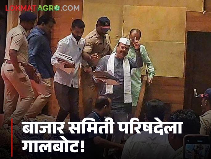 Market Yard Conference: Minister of Commerce has left the meeting; Questions of market committees in the wind! | Market Yard Conference : भर परिषदेतून पणनमंत्री गेले निघून; बाजार समित्यांचे प्रश्न वाऱ्यावर! Market Yard Conference: Minister of Commerce has left the meeting; Questions of market committees in the wind! | Market Yard Conference : भर परिषदेतून पणनमंत्री गेले निघून; बाजार समित्यांचे प्रश्न वाऱ्यावर!
