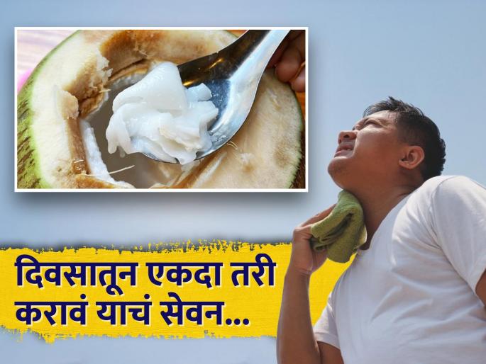 Nutritionist told these food items to beat stomach heat acidity and bloating without drinking water | पाण्यापेक्षाही जास्त शक्ती देतात या गोष्टी, जवळही येणार नाही उष्णता Nutritionist told these food items to beat stomach heat acidity and bloating without drinking water | पाण्यापेक्षाही जास्त शक्ती देतात या गोष्टी, जवळही येणार नाही उष्णता