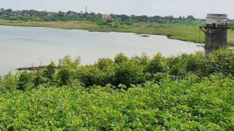 Hipparga filled; Alert to Avanti Nagar, Vasant Vihar, Madki Vasti | हिप्परगा भरला; अवंतीनगर, वसंतविहार, मडकी वस्तीला सतर्कतेचा इशारा Hipparga filled; Alert to Avanti Nagar, Vasant Vihar, Madki Vasti | हिप्परगा भरला; अवंतीनगर, वसंतविहार, मडकी वस्तीला सतर्कतेचा इशारा