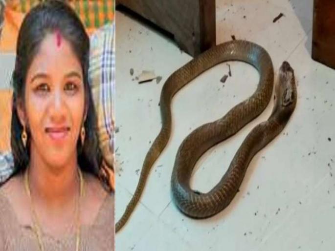 Woman killed in Kollam by snake bite or murder ?; Police arrested 2 persons including husband pnm | कोल्लममधील महिलेचा मृत्यू सर्पदंशाने की हत्या?; पोलिसांनी पतीसह २ जणांना घेतलं ताब्यात Woman killed in Kollam by snake bite or murder ?; Police arrested 2 persons including husband pnm | कोल्लममधील महिलेचा मृत्यू सर्पदंशाने की हत्या?; पोलिसांनी पतीसह २ जणांना घेतलं ताब्यात