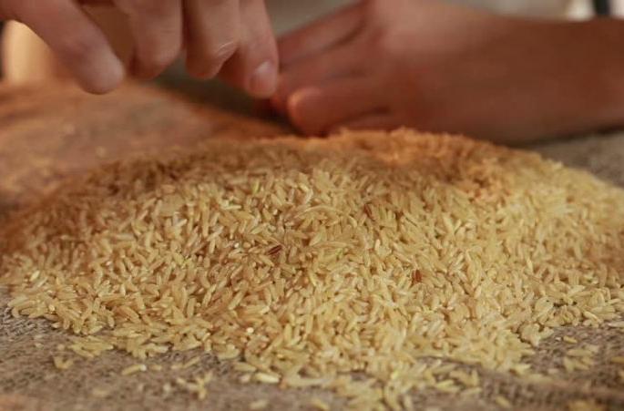 Mid Day meal rice not even cook nor wet in water, melt on hot plate | बापरे ! शालेय पोषण आहारातील तांदूळ शिजता शिजत नाही, मात्र तव्यावर वितळतो Mid Day meal rice not even cook nor wet in water, melt on hot plate | बापरे ! शालेय पोषण आहारातील तांदूळ शिजता शिजत नाही, मात्र तव्यावर वितळतो