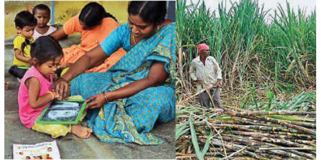 The children of poor laborers will remain in the stream of education; Consolation for 3 thousand students | ऊसतोड मजुरांची मुले राहणार शिक्षणाच्या प्रवाहात; २८ हजार विद्यार्थ्यांना दिलासा The children of poor laborers will remain in the stream of education; Consolation for 3 thousand students | ऊसतोड मजुरांची मुले राहणार शिक्षणाच्या प्रवाहात; २८ हजार विद्यार्थ्यांना दिलासा
