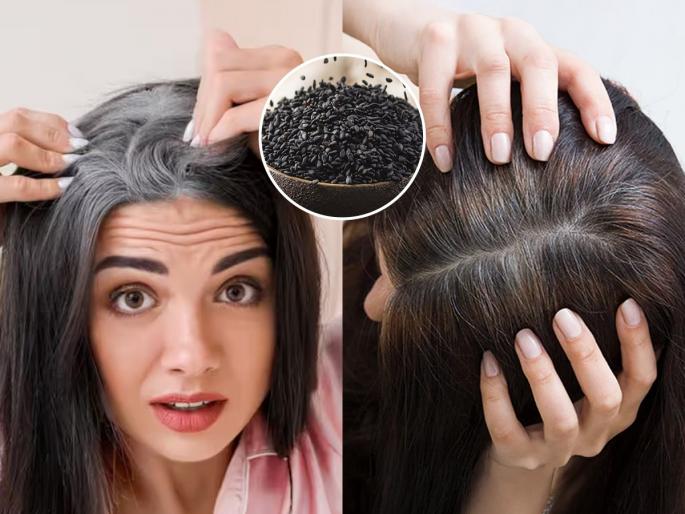 main reason for gray hair at early age, 4 simple remedies that prevents hair from graying, simple home hacks for naturally black hair  | ऐन तारुण्यात केस पांढरं होण्याचं ‘हे’ गंभीर कारण, डॉक्टर सांगतात तातडीने ४ उपाय करा