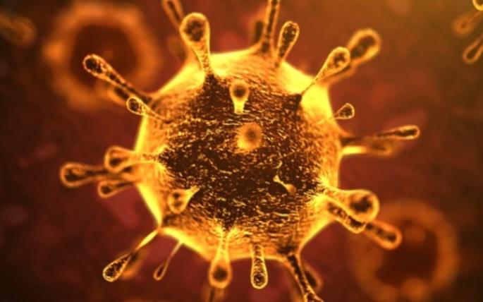 Pooja Archana's attempt at Gadchiroli to avert Corona crisis; Interference at the time of administration | कोरोनाचे संकट पळविण्यासाठी गडचिरोलीत पुजाअर्चनेचा प्रयत्न; प्रशासनाचा वेळीच हस्तक्षेप Pooja Archana's attempt at Gadchiroli to avert Corona crisis; Interference at the time of administration | कोरोनाचे संकट पळविण्यासाठी गडचिरोलीत पुजाअर्चनेचा प्रयत्न; प्रशासनाचा वेळीच हस्तक्षेप