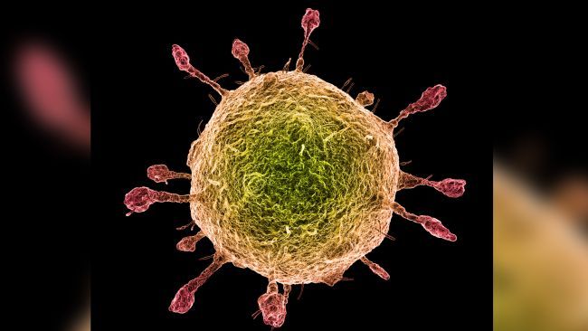 Many came to Vidarbha from Delhi meeting; Their search started in the district | दिल्ली संमेलनातून विदर्भात आले अनेकजण; जिल्ह्याजिल्ह्यात त्यांचा शोध सुरू