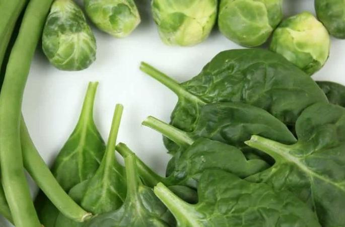 Hemorrhoids do not recur in 99% of patients | ९९ टक्के रुग्णांमधील मूळव्याध परतून येत नाही Hemorrhoids do not recur in 99% of patients | ९९ टक्के रुग्णांमधील मूळव्याध परतून येत नाही