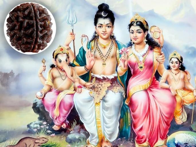 1 mukhi rudraksha is very special you will get the grace of shiva shakti fortune will shine like the sun and get auspicious benefits | १ मुखी रुद्राक्ष खूपच खास, शिव-शक्तीची मिळेल कृपा; सूर्यासारखे उजळेल भाग्य, शुभ-लाभच लाभ! 1 mukhi rudraksha is very special you will get the grace of shiva shakti fortune will shine like the sun and get auspicious benefits | १ मुखी रुद्राक्ष खूपच खास, शिव-शक्तीची मिळेल कृपा; सूर्यासारखे उजळेल भाग्य, शुभ-लाभच लाभ!