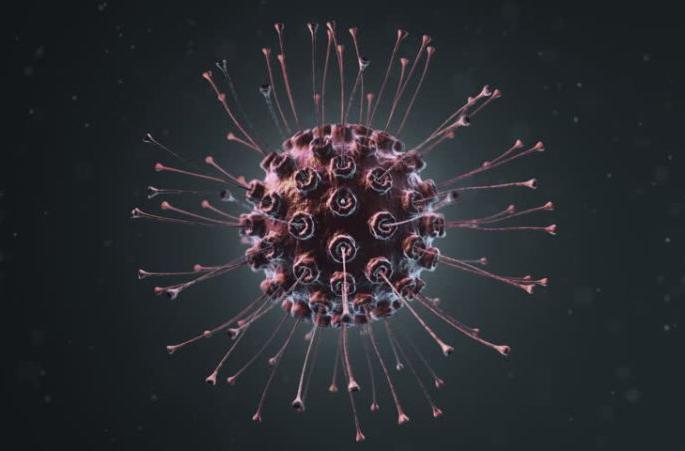 Don't spread rumors about omicron; Collector's appeal | ओमायक्रॉनबाबत अफवा पसरवू नका; जिल्हाधिकाऱ्यांचे आवाहन