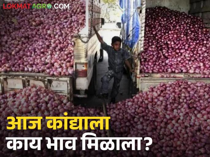 Latest News Kanda Market Onion price in Lasalgaon market on September 1st was Rs 1340 per quintal | Kanda Market : 1 सप्टेंबरला राज्यातील कुठल्या मार्केटमध्ये कांद्याला काय भाव मिळाला, वाचा सविस्तर 