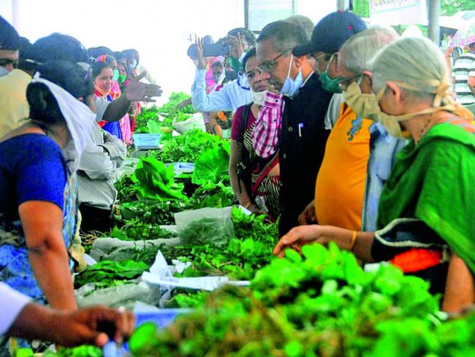 Katwal, Khaparkhuti, Chandanbatwa, Kunjircha Mewa; market of forest vegetables | काटवल, खापरखुटी, चंदनबटवा, कुंजीरचा मेवा; भरपावसात सजला रानभाज्यांचा बाजार Katwal, Khaparkhuti, Chandanbatwa, Kunjircha Mewa; market of forest vegetables | काटवल, खापरखुटी, चंदनबटवा, कुंजीरचा मेवा; भरपावसात सजला रानभाज्यांचा बाजार