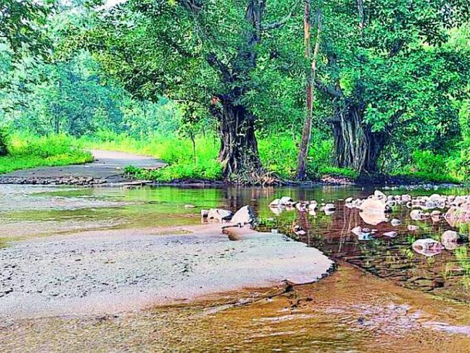 The Awagad-Makhla road took the lives of tribals | आवागड-माखला रस्ता उठला आदिवासींच्या जिवावर