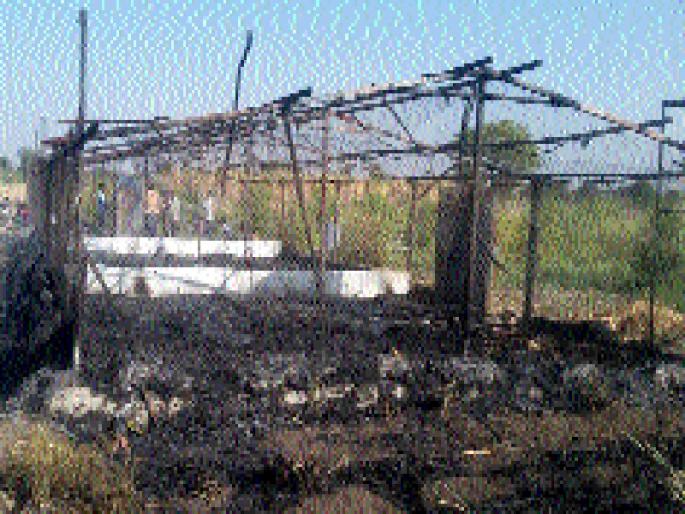 Fire to the Poultry Center; Poultry deaths with chickens | कुक्कुटपालन केंद्राला आग; कोंबड्यांसह पिलांचा होरपळून मृत्यू