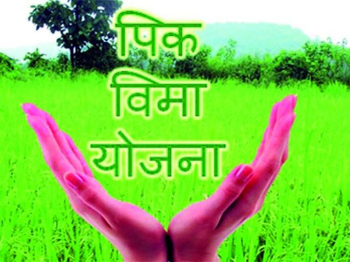 Receipt delivered at home? Do the good of the farmers, not the insurance company! | पावती घरपोहोच देताय? विमा कंपनीचे नव्हे, शेतकऱ्यांचे भले करा! Receipt delivered at home? Do the good of the farmers, not the insurance company! | पावती घरपोहोच देताय? विमा कंपनीचे नव्हे, शेतकऱ्यांचे भले करा!