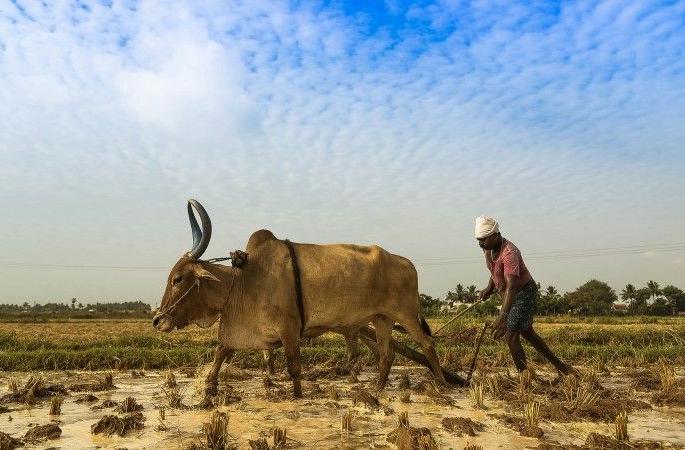 Farmers are waiting for monsoon | मृगातही ऊन्हाच्या झळा बळीराजाला करीत आहेत असह्य !