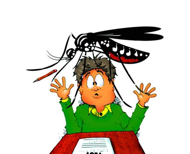 Students are studying with danger of dengue in Nagpur | नागपुरात डेंग्यूच्या सानिध्यात विद्यार्थी करताहेत अभ्यास