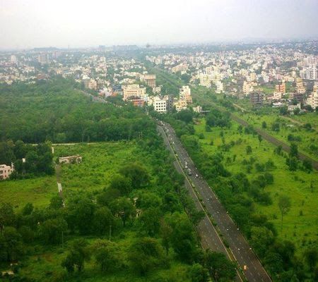 191 species of trees in the heart of Nagpur | नागपूरच्या हृदयस्थानी १९१ प्रजातीची झाडे 191 species of trees in the heart of Nagpur | नागपूरच्या हृदयस्थानी १९१ प्रजातीची झाडे