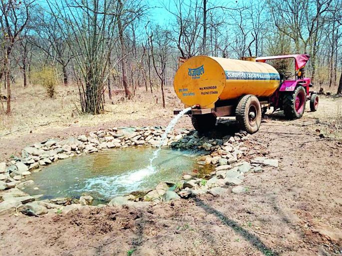 Wildlife get water with the help of solar pumps and tankers | सोलरपंप व टॅँकरच्या मदतीने भागविणार वन्यजीवांची तृष्णा