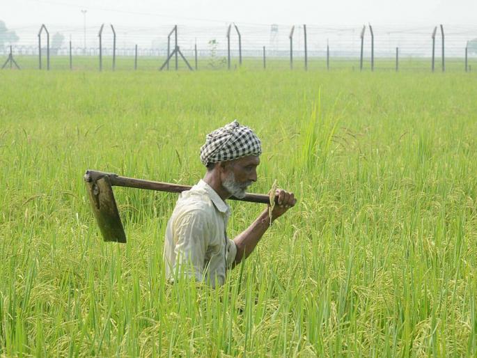 Will the new agriculture bill benefit mainly farmers or corporates? | नव्या कृषी विधेयकाचा फायदा मुख्यत: शेतकऱ्यांना होणार की कॉर्पोरेट कंपन्यांना? Will the new agriculture bill benefit mainly farmers or corporates? | नव्या कृषी विधेयकाचा फायदा मुख्यत: शेतकऱ्यांना होणार की कॉर्पोरेट कंपन्यांना?