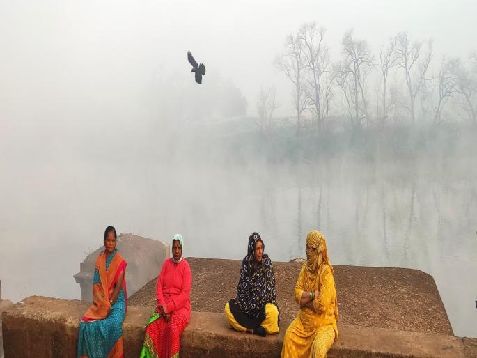 The cold has intensified Temperatures in Kolhapur district drop to 15 degrees | कोल्हापूर गारठलं; तापमान घसरले १५ डिग्रीपर्यंत, कडाका वाढत जाणार